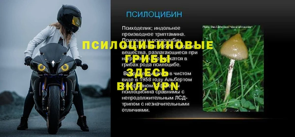 PSILOCYBIN Алексин