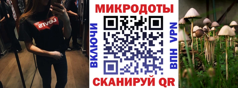 Псилоцибиновые грибы GOLDEN TEACHER наркошоп Барнаул